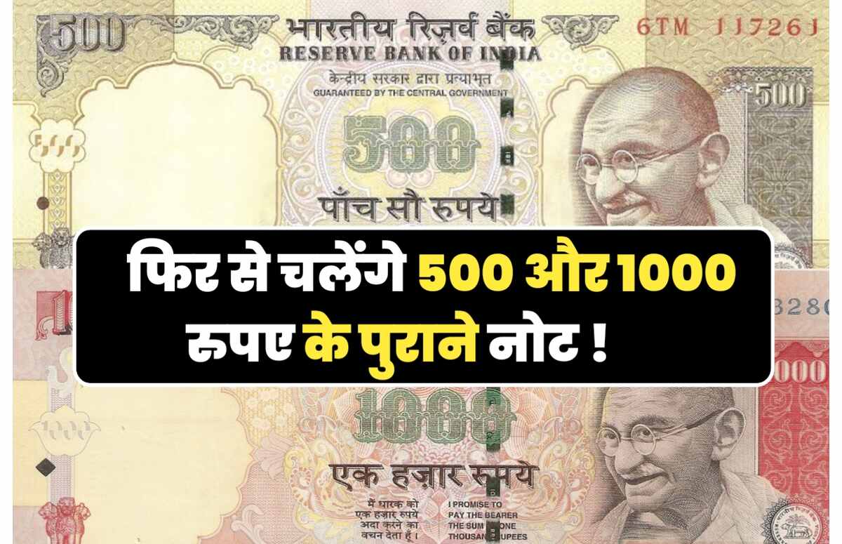 RBI New Update: फिर से चलेंगे 500 और 1000 रुपए के पुराने नोट ! आरबीआई का लेटेस्ट अपडेट आया सामने, देखे संपूर्ण जानकारी
