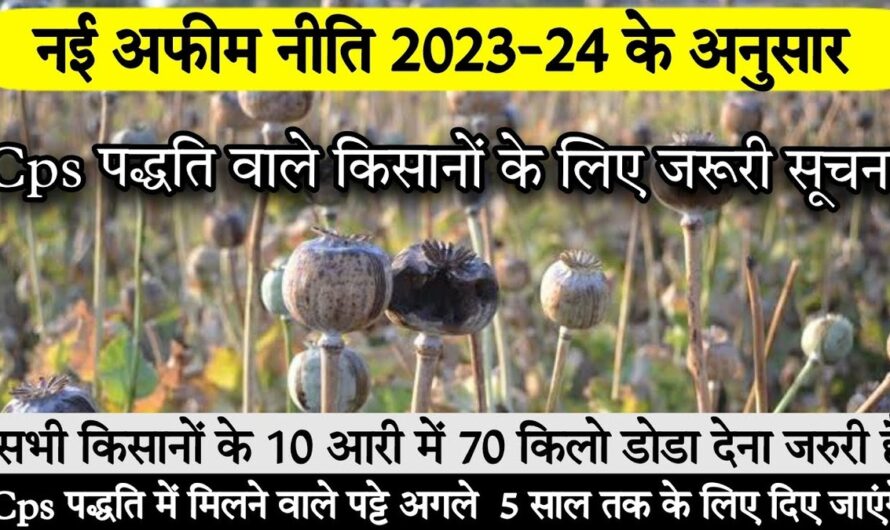 Afeem patta list 2023 24 अफीम पट्टा मार्फिन लिस्ट 2023-24 पात्र किसानों की सूची देखे